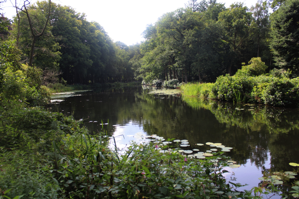 hypotheekadviseur 's-graveland