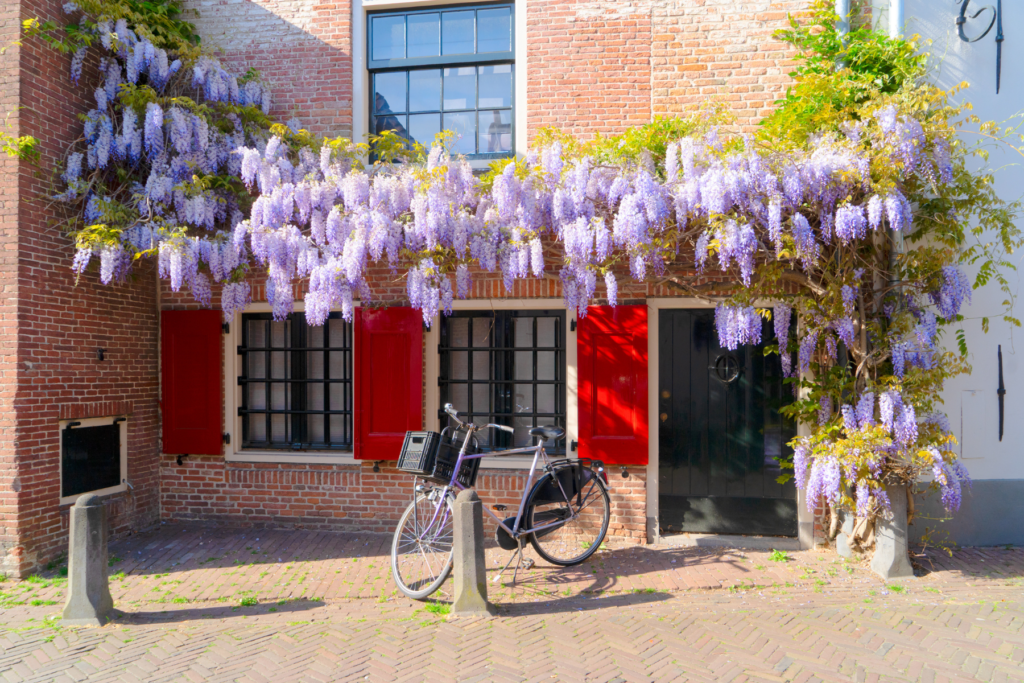 overbieden in amersfoort